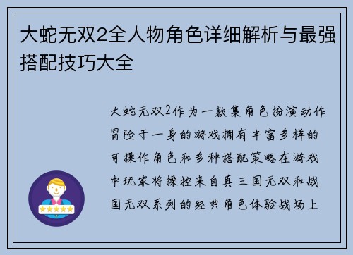 大蛇无双2全人物角色详细解析与最强搭配技巧大全